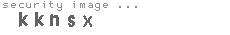 security image