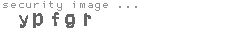 security image