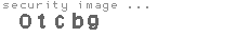 security image