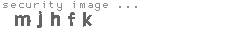 security image