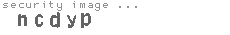 security image