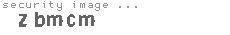 security image