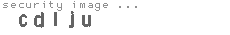 security image