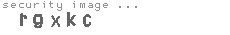 security image
