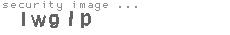 security image