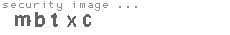 security image