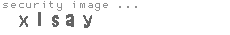 security image