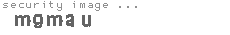 security image