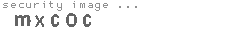 security image