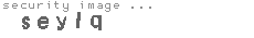 security image
