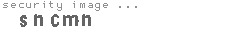 security image