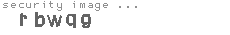 security image