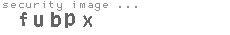 security image