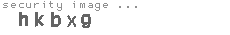 security image