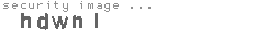 security image