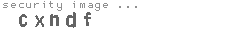 security image