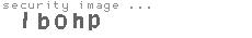 security image