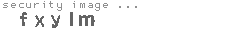 security image