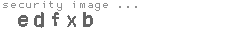 security image