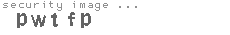 security image