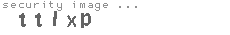 security image