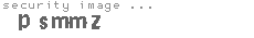 security image