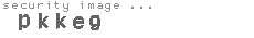 security image