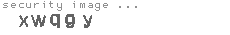 security image