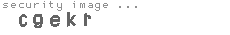 security image