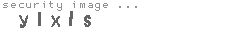 security image