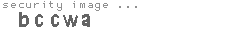 security image