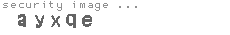 security image
