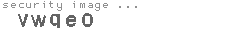 security image