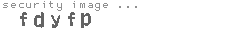 security image