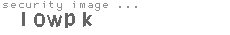 security image