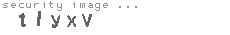 security image
