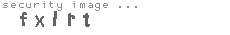 security image
