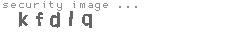security image