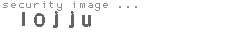 security image