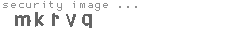 security image