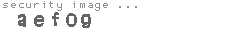 security image