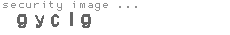 security image