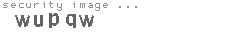 security image