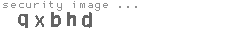 security image