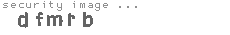 security image