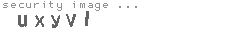 security image