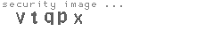 security image