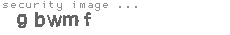 security image