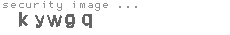 security image