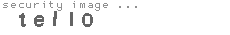security image
